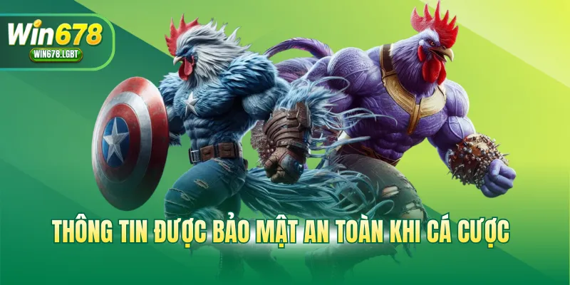 Thông tin được bảo mật an toàn khi cá cược