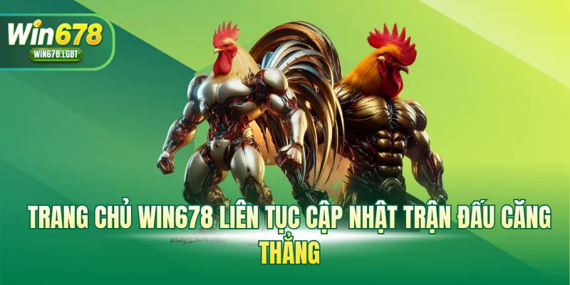 Đá Gà WIN678 liên tục cập nhật trận đấu căng thẳng