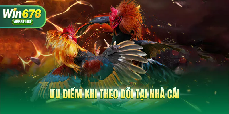 Ưu điểm khi theo dõi tại nhà cái